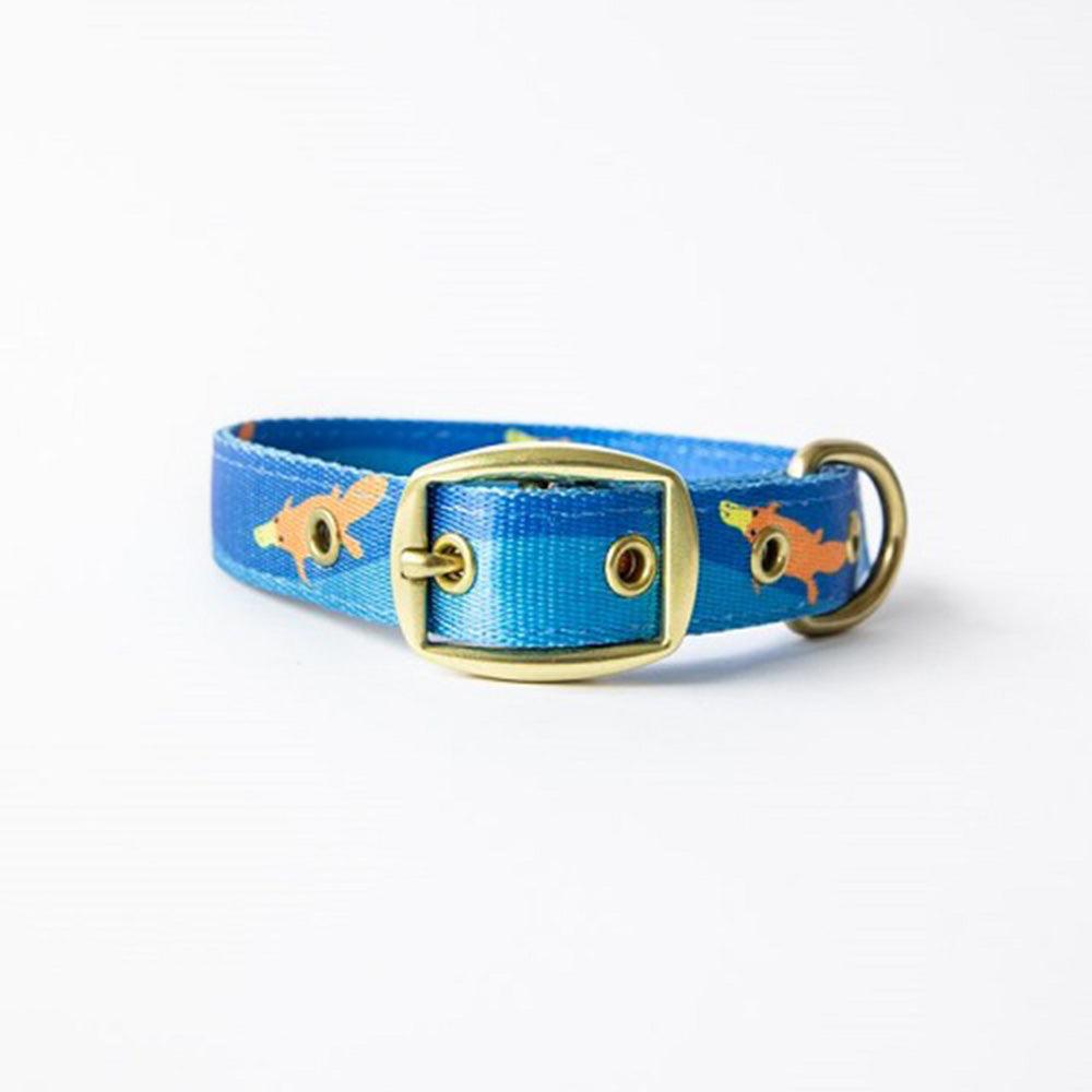 Anipal Piper The Platypus Dog Collar Large