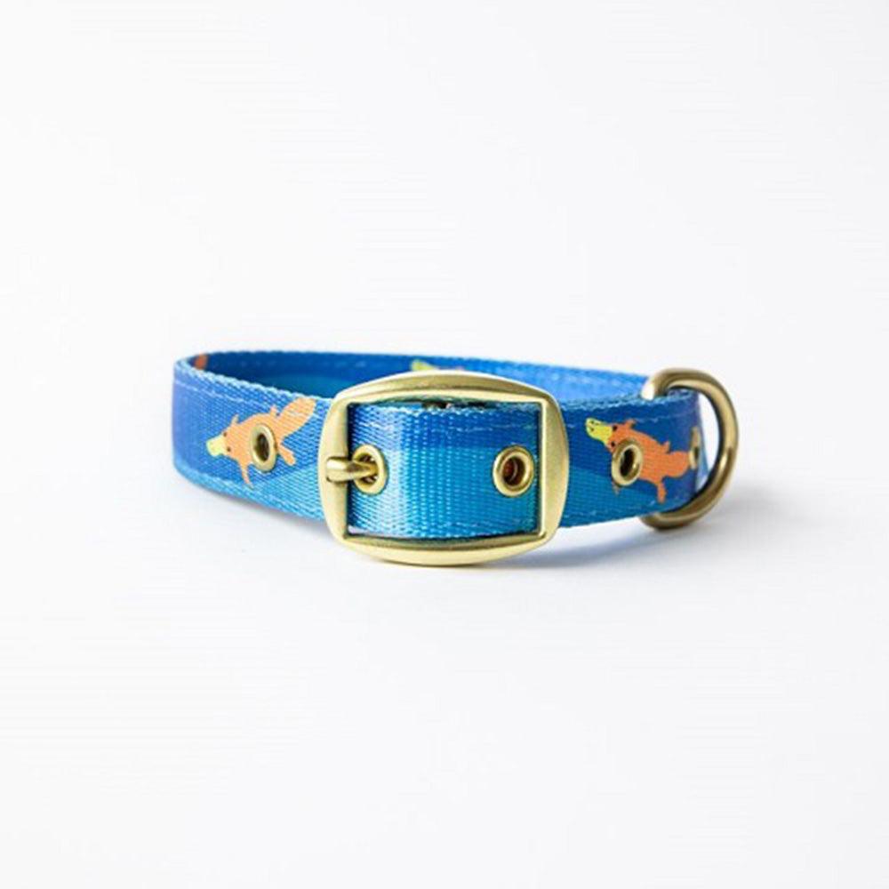 Anipal Piper The Platypus Dog Collar Medium