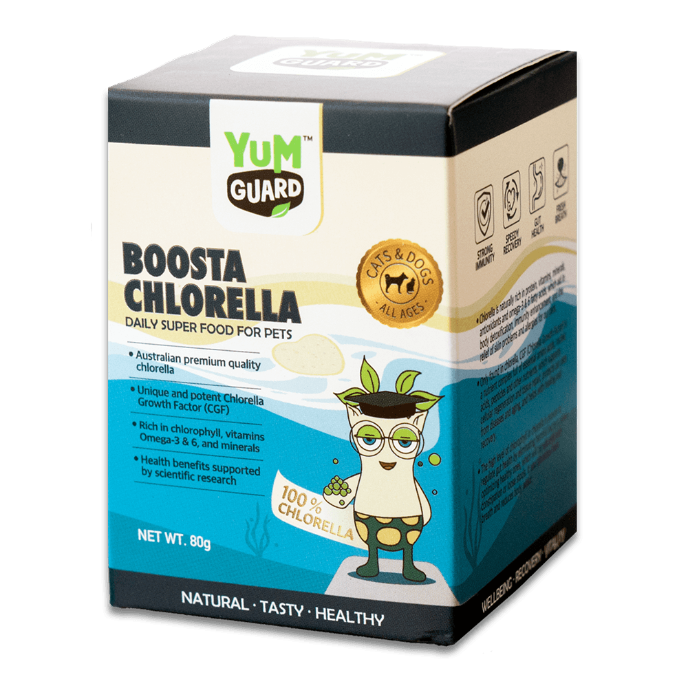 Yum Guard Boosta Chlorella 80G