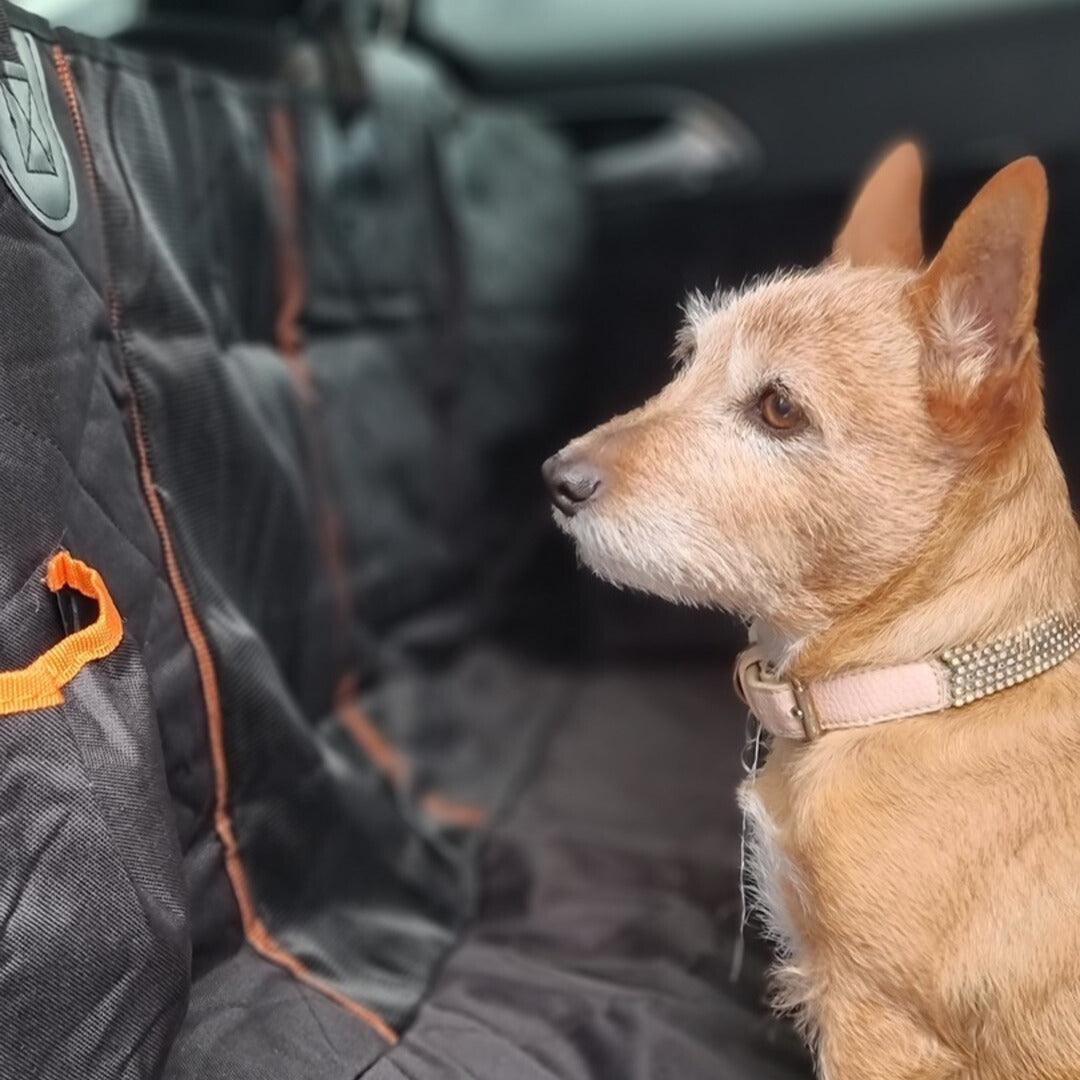 Ultimate Dog Car Hammock and Seat Belt - Seat Covers For Your Car - Pet Parlour Australia
