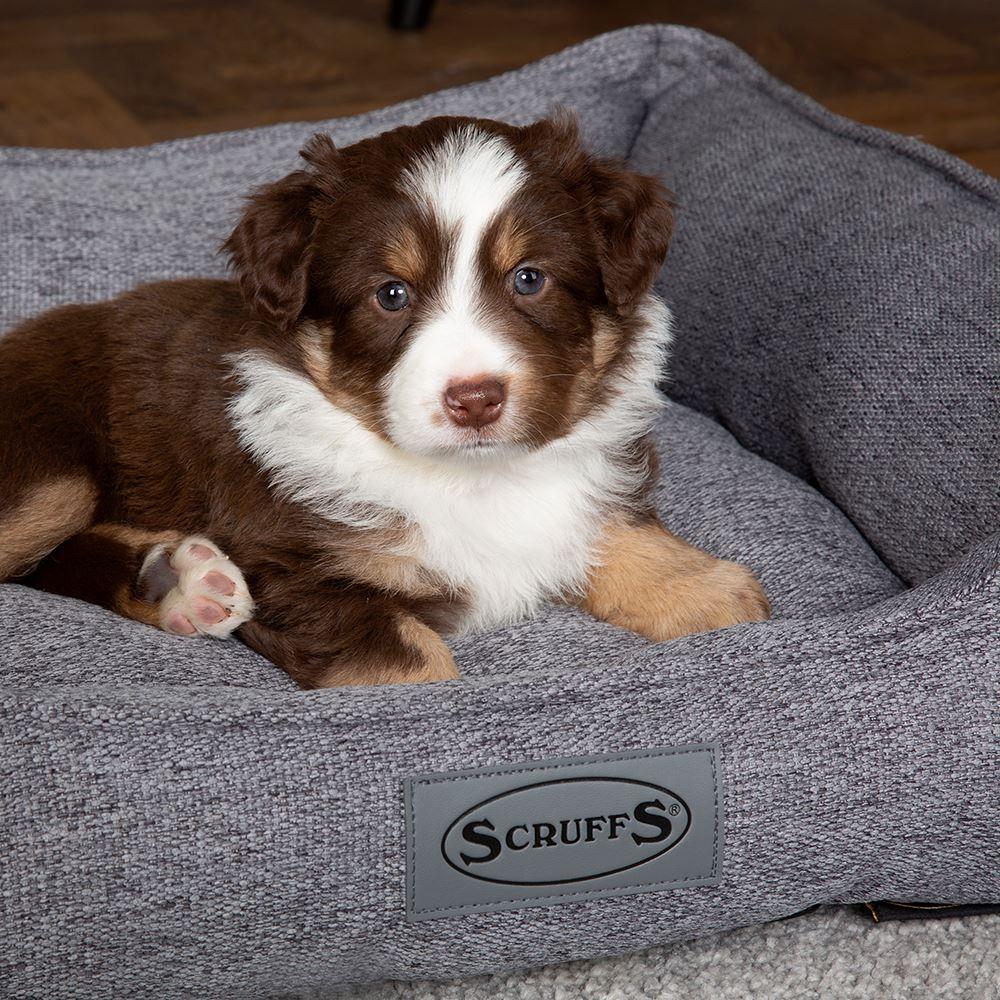 Scruffs – Manhattan Box Bed - Pet Parlour Australia