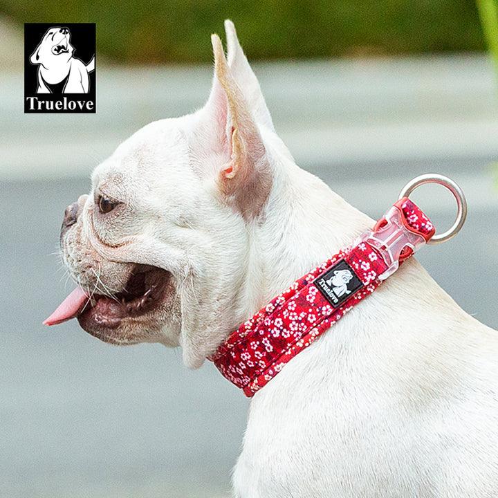 Floral Collar Poppy Red S - Pet Parlour Australia