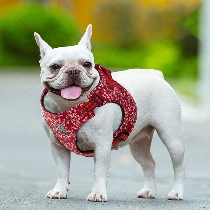 Floral Doggy Harness Red XS - Pet Parlour Australia