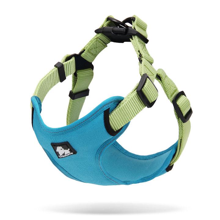 Urban Harness Blue/Green S - Pet Parlour Australia