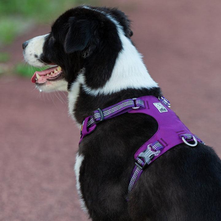 Lightweight 3M reflective Harness Purple 2XS - Pet Parlour Australia