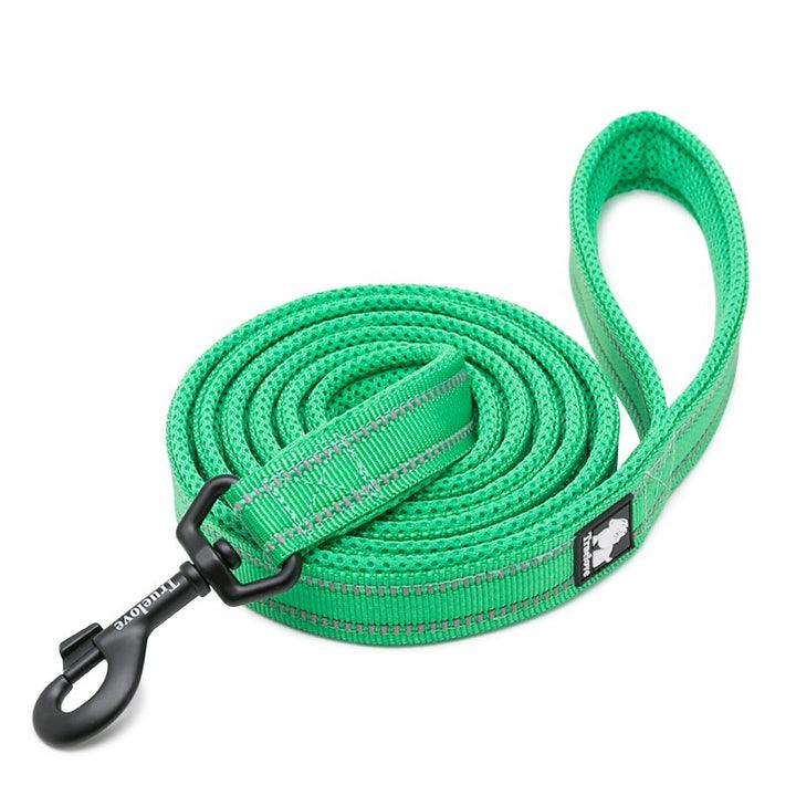 Reflective Pet Leash 2 meters Green L - Pet Parlour Australia