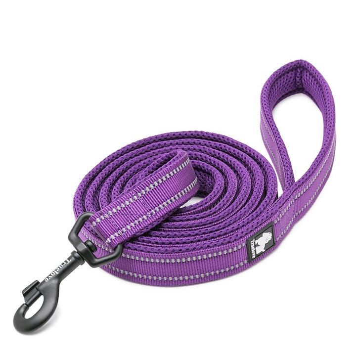 Reflective Pet Leash 2 meters Purple L - Pet Parlour Australia