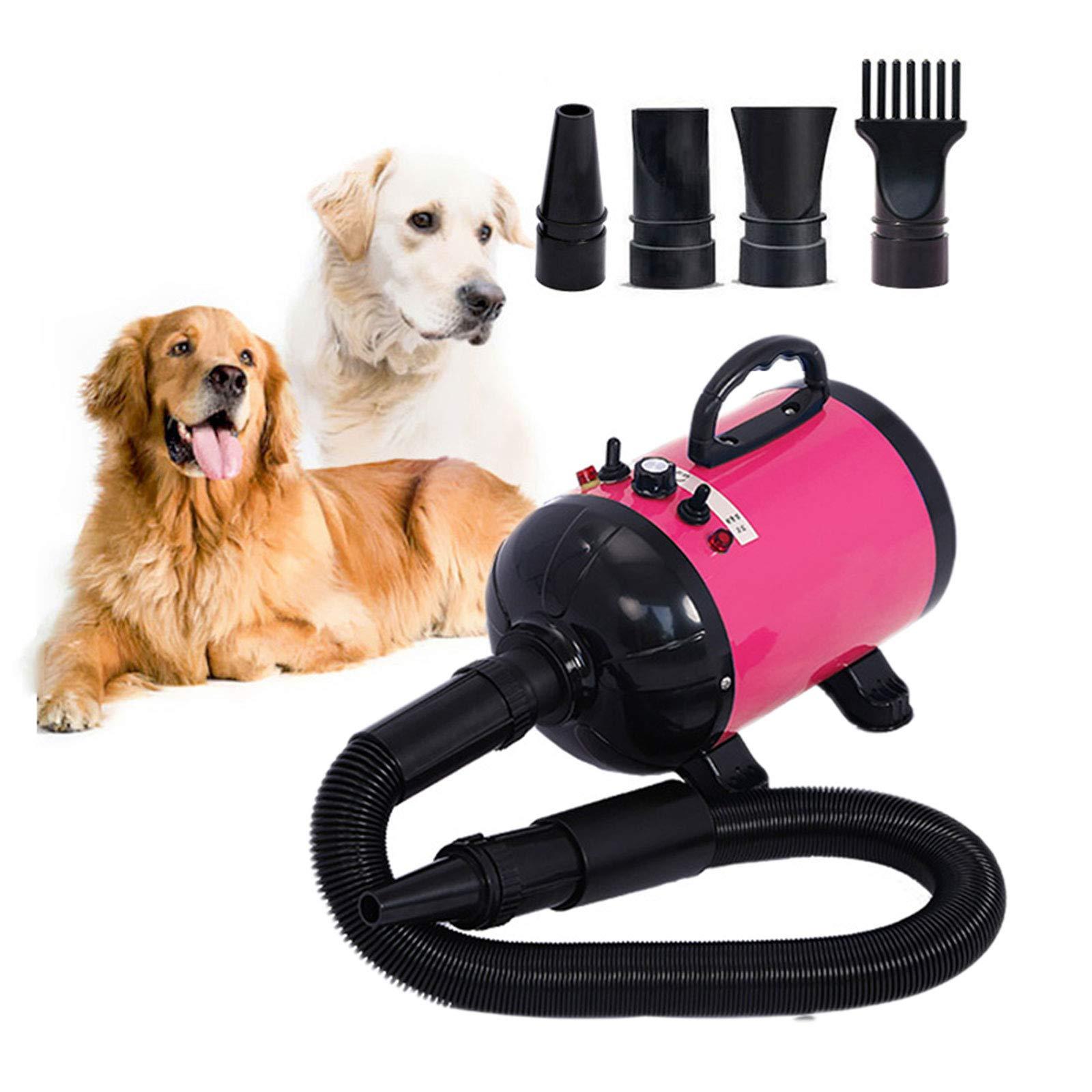 2800W Dog Dryer High Velocity Pet Dog Pet Blow Dryer Adjustable Speed 4 Nozzles - Pet Parlour Australia