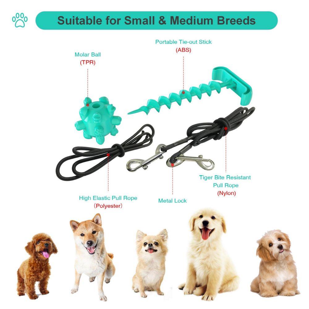 Portable Dog Tie-out Stick Set Outdoor Interactive Tug of War Toy - Pet Parlour Australia