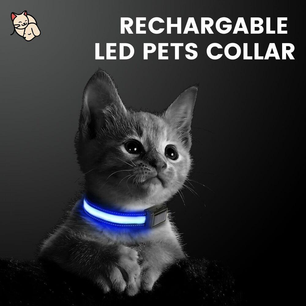 Floofi Solar USB Rechargable LED Dog Collar (M Red) - PT-DC-135-QQQ - Pet Parlour Australia