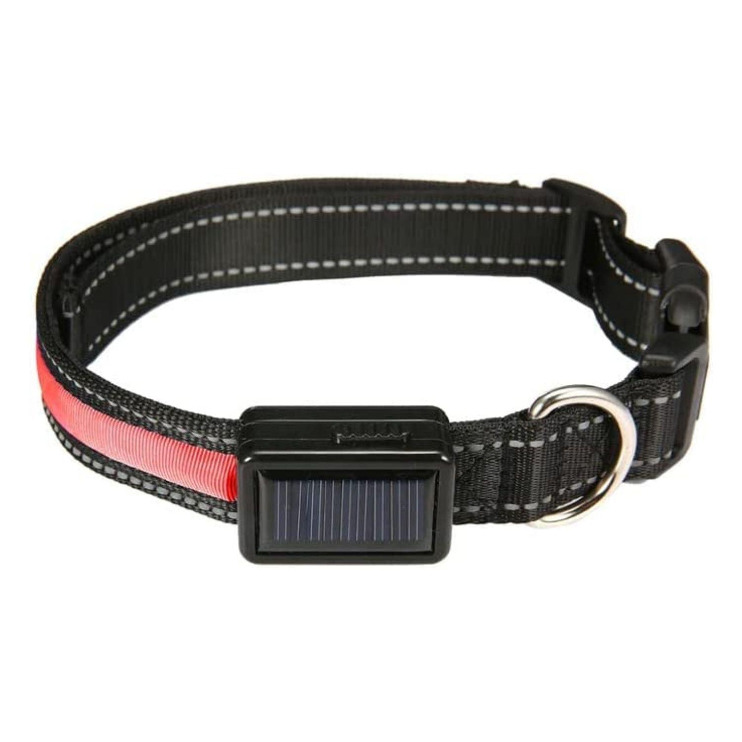 Floofi Solar USB Rechargable LED Dog Collar (M Red) - PT-DC-135-QQQ - Pet Parlour Australia