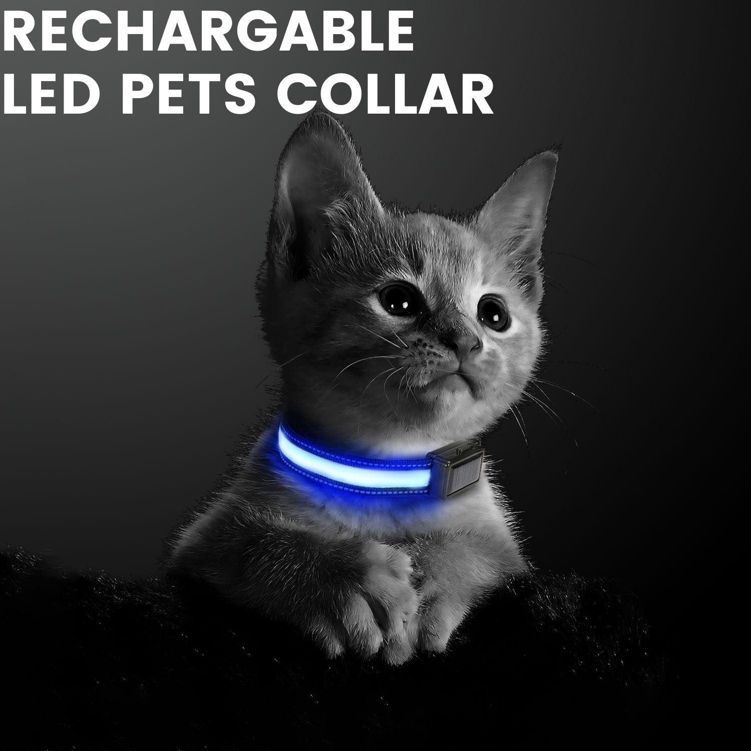 Floofi Solar USB Rechargable LED Dog Collar (M Pink) - PT-DC-141-QQQ - Pet Parlour Australia