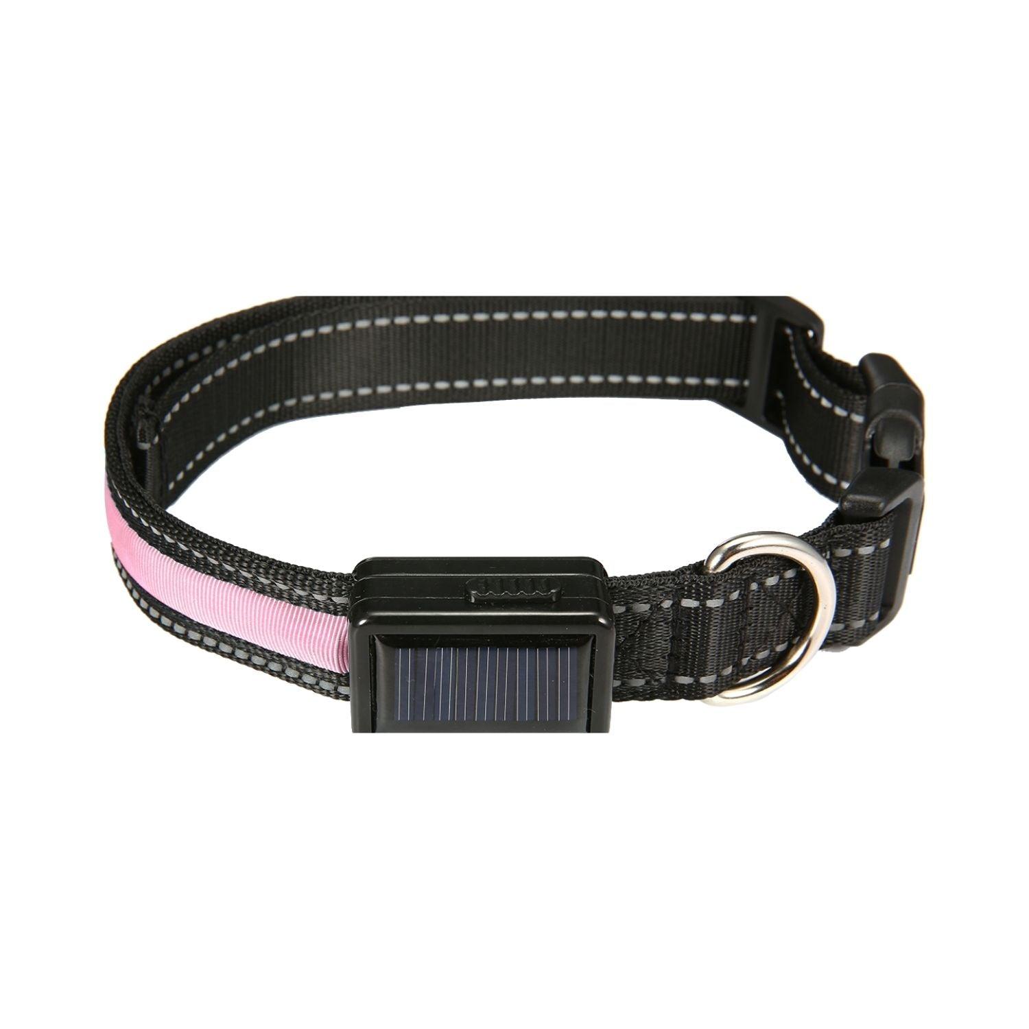 Floofi Solar USB Rechargable LED Dog Collar (M Pink) - PT-DC-141-QQQ - Pet Parlour Australia