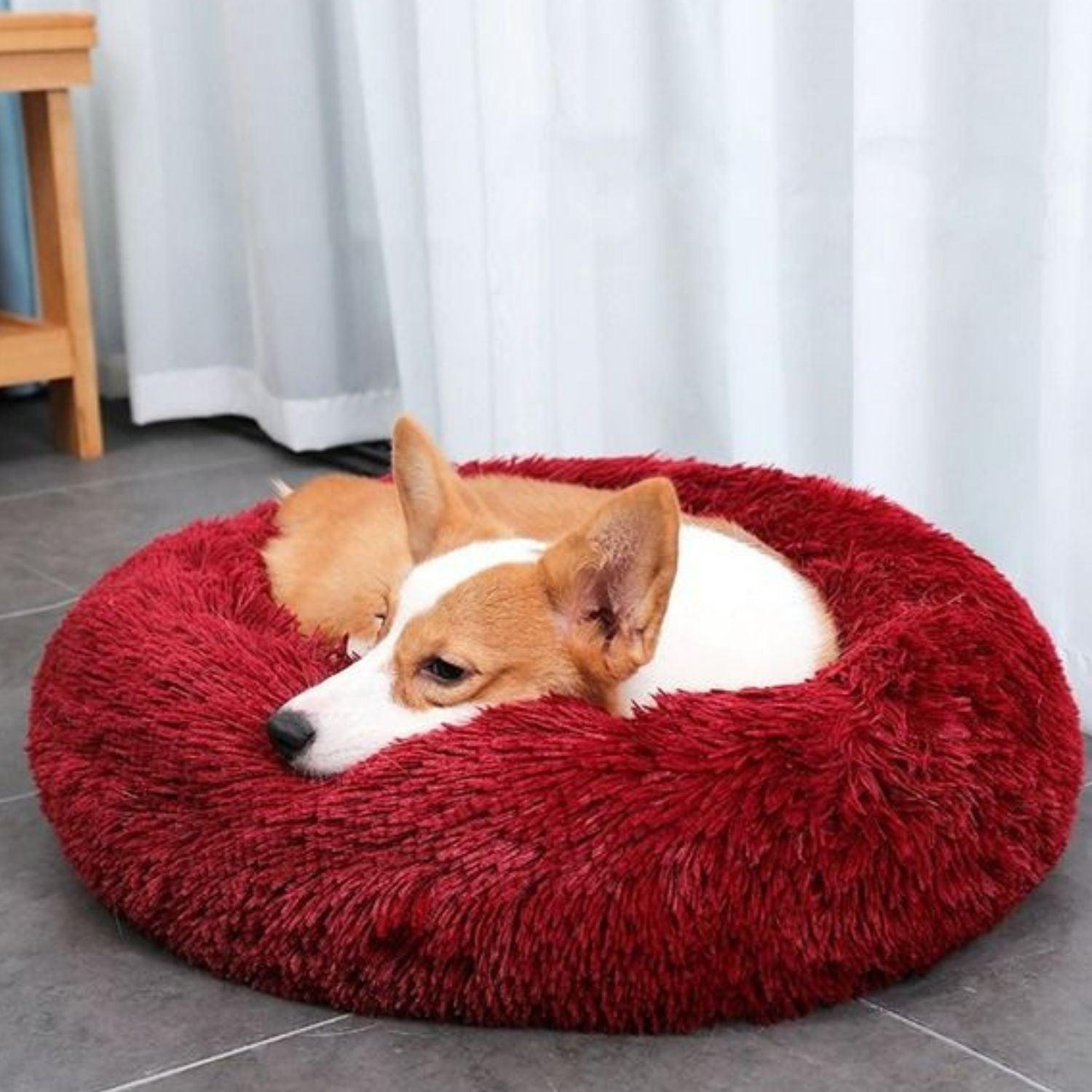 Floofi Pet Bed 70cm (Rose Gold) PT-PB-127-XL - Pet Parlour Australia