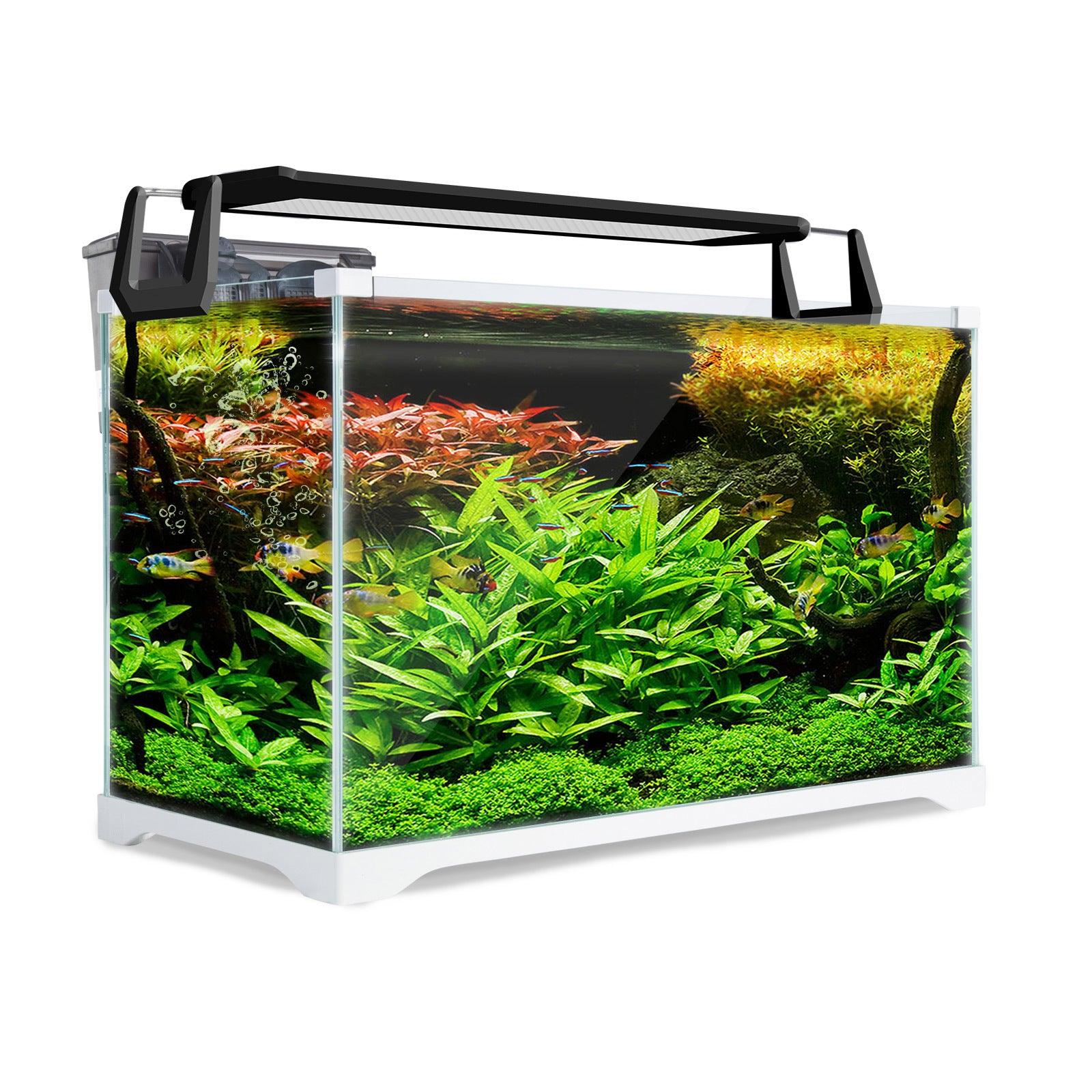 Dynamic Power Aquarium Fish Tank 39L Starfire Glass - Pet Parlour Australia