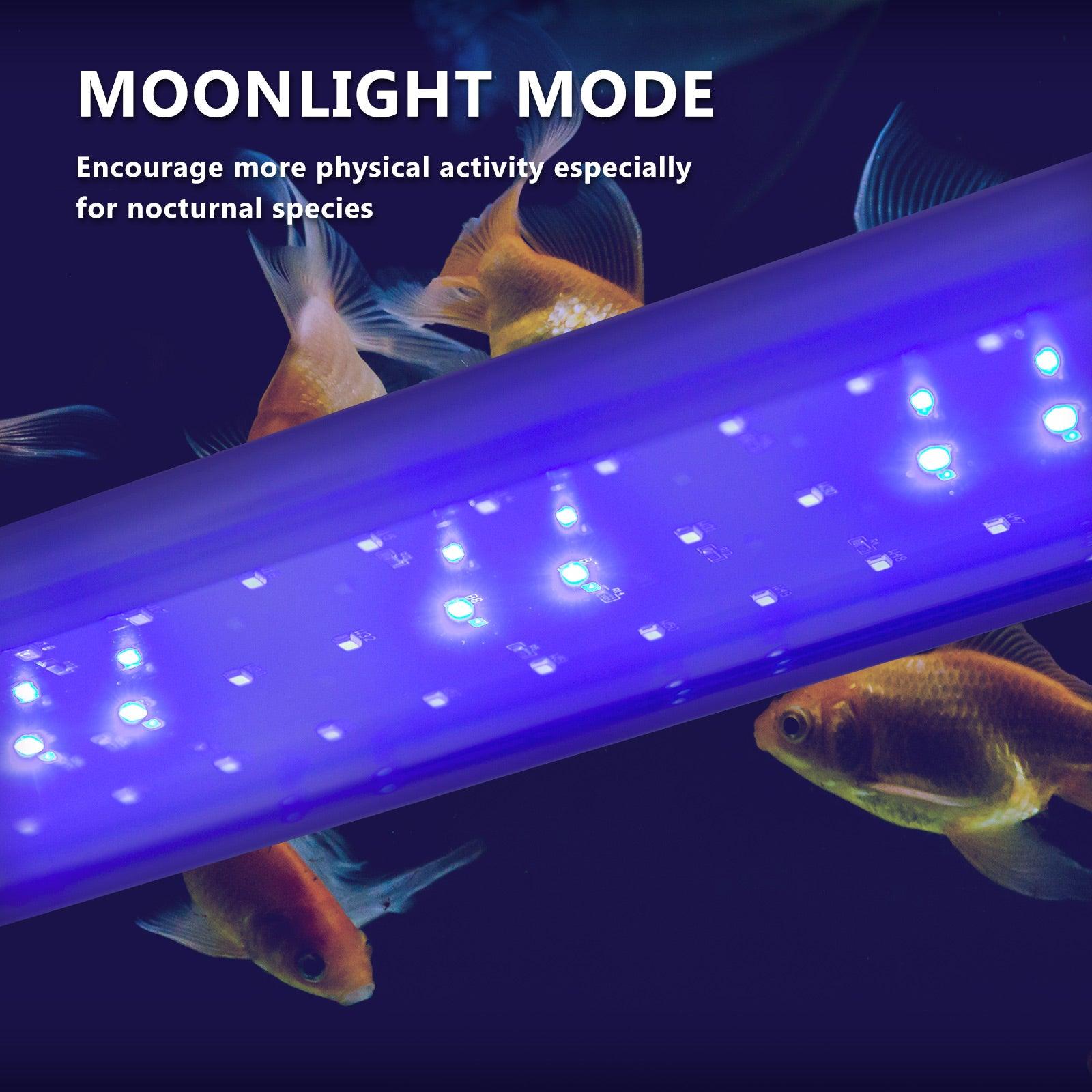 Dynamic Power 2 Set 33W Aquarium Blue White LED Light for Tank 120-140cm - Pet Parlour Australia