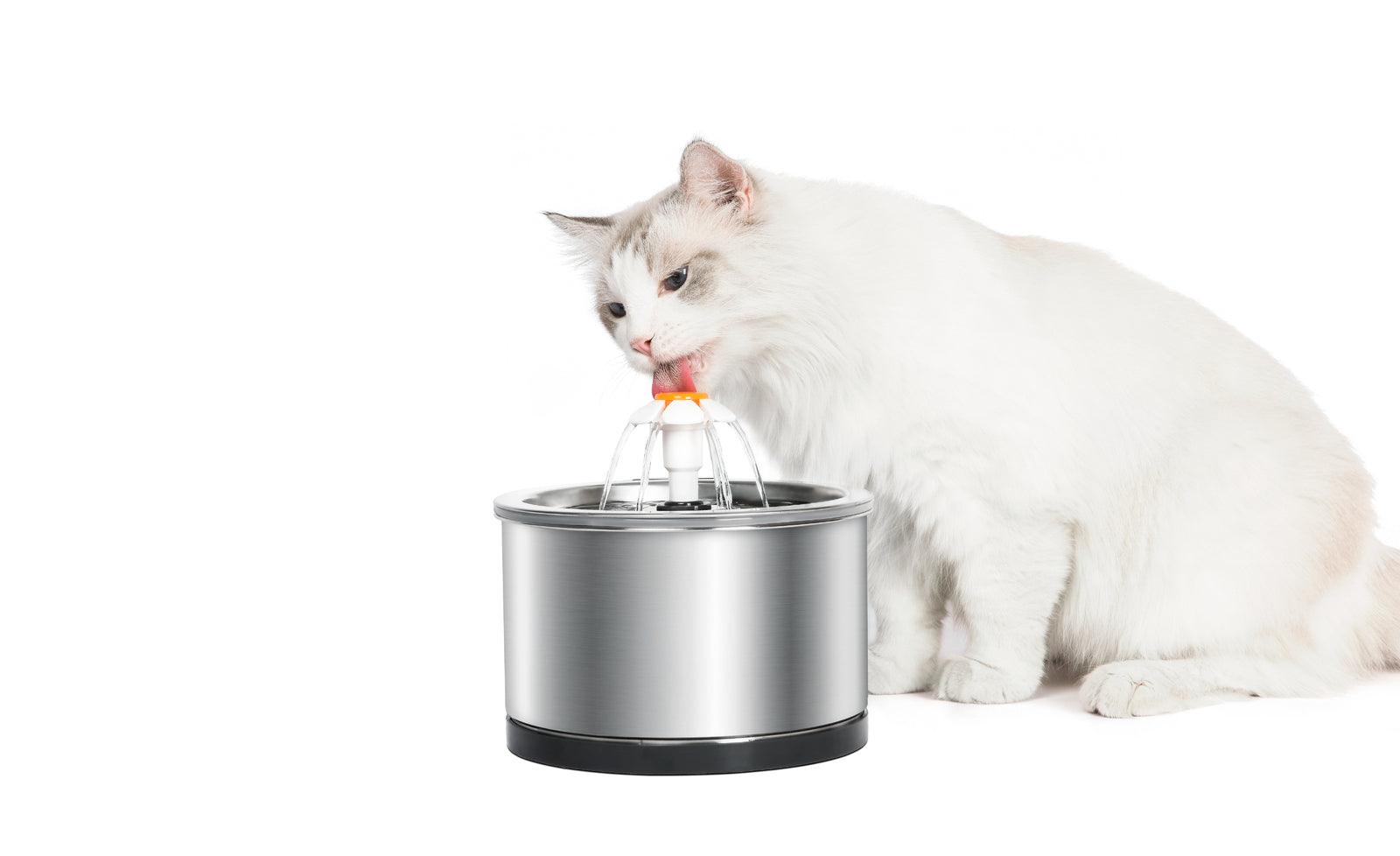 Automatic Electric Pet Water Fountain Dog Cat Stainless Steel Feeder Bowl Dispenser - Pet Parlour Australia