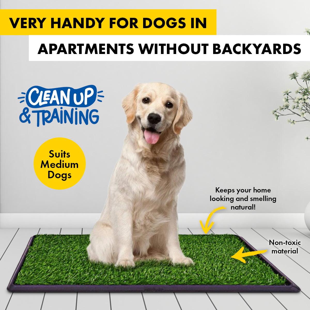 Dog toilets outlet for apartments australia