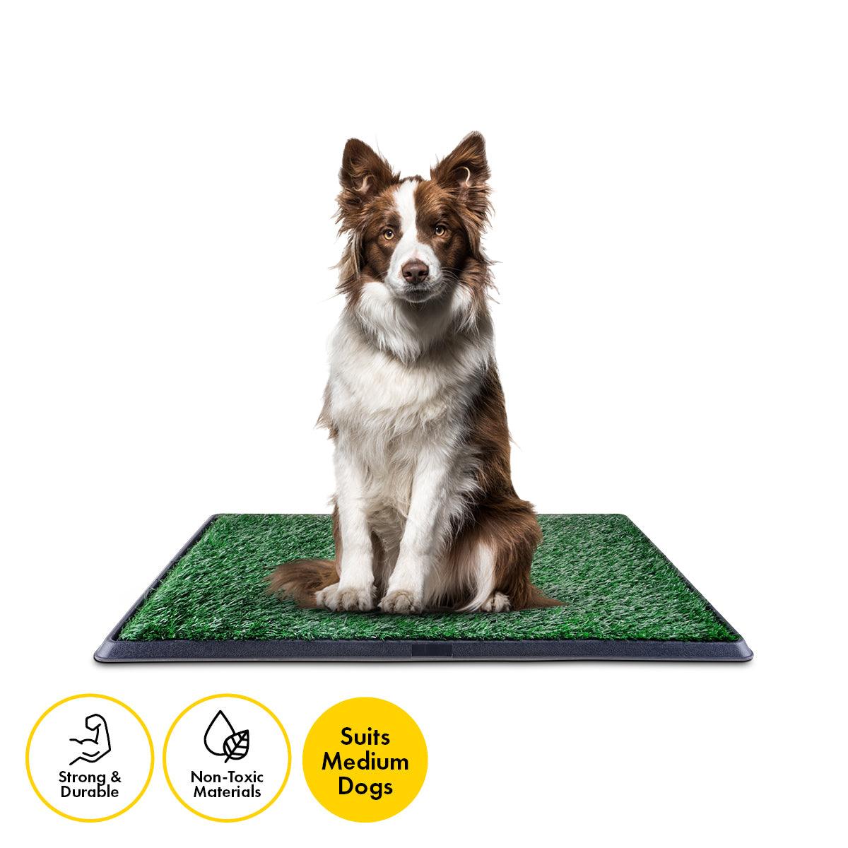 Pet Basic Portable Dog Potty Trainer 3 Layer System Odour Resistant 76 x 50cm - Pet Parlour Australia