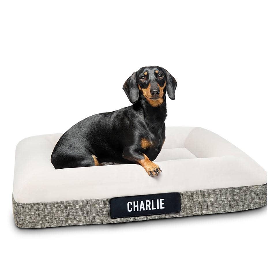 Orthopedic bed deals dog