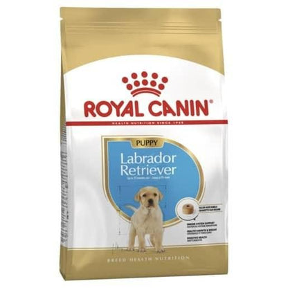 Royal Canin Labrador Retriever Puppy Dry Dog Food - Pet Parlour Australia