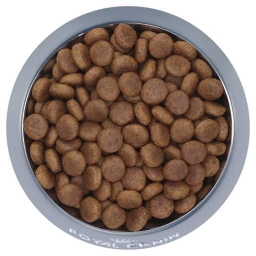 Royal Canin Maxi Adult Dry Food - Pet Parlour Australia