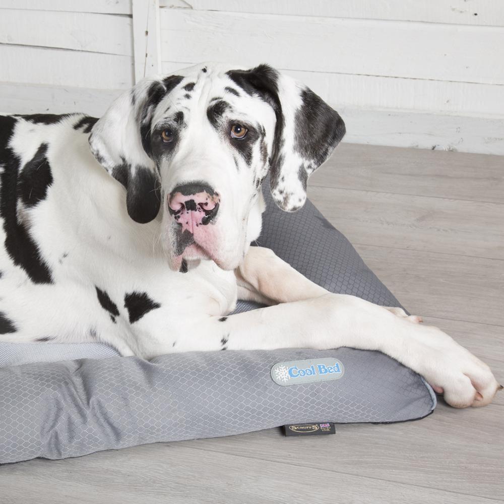 Scruffs Cool Dog Bed - Pet Parlour Australia