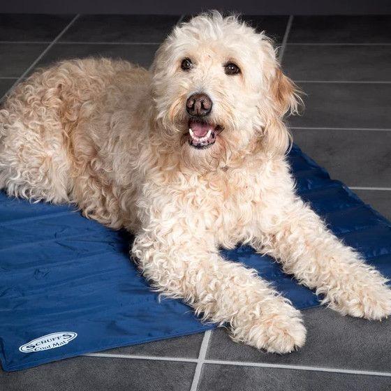 Scruffs Pet Cooling Dog Mat - Pet Parlour Australia